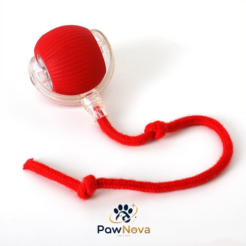 PawNova™ Akıllı Kedi Oyuncak Topu — USB Şarjlı, Işıklı, 3 Modlu